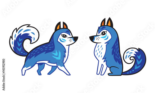 Blue Siberian Husky dog