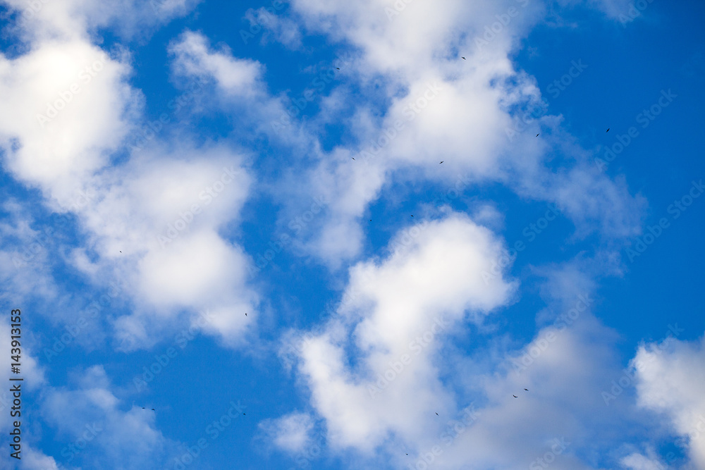 Obraz premium Clouds