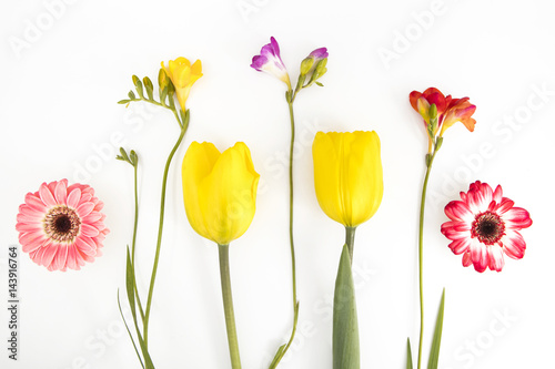 Fiori di campo