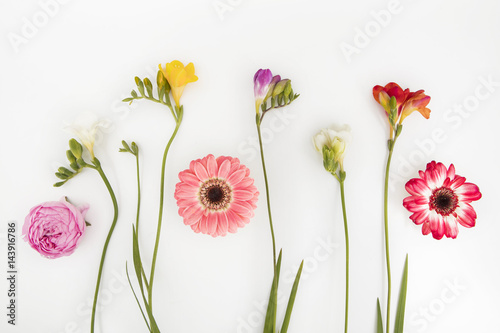 Fiori di campo