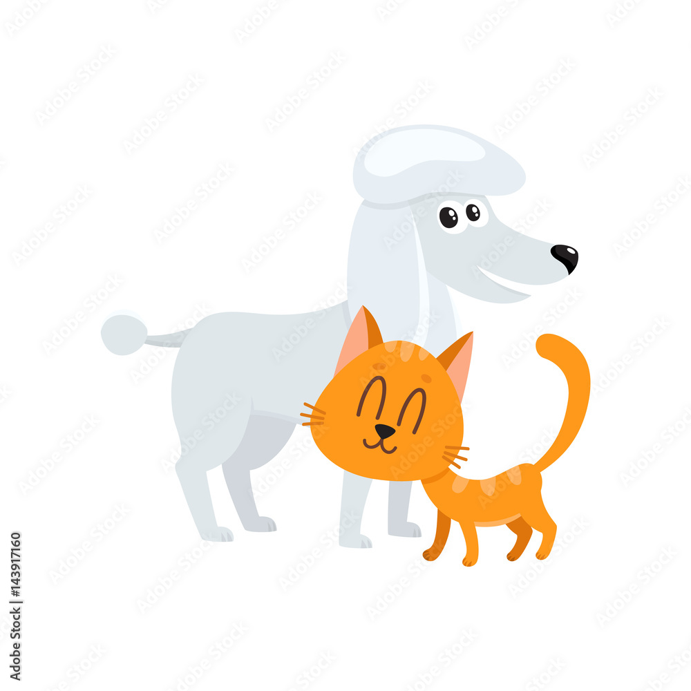 poodle dog dog and red cat, kitten characters, pets, friendship concept, cartoon vector illustration isolated on white background. poodle dog dog and red cat characters, friends