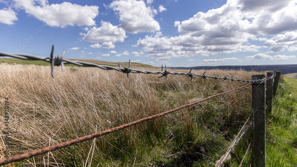 Barbed Wire Fence and Grass Field