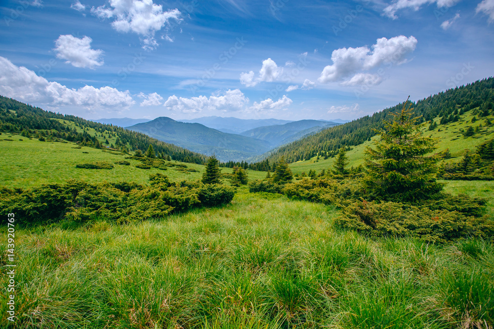 Mountain valley landscape. Summer time.