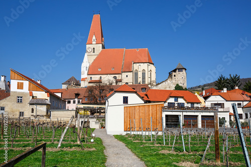 Wallpaper Mural Fair municipality of Weissenkirchen in der Wachau with vineyards in the foreground. The District of Krems-Land, Lower Austria. Torontodigital.ca