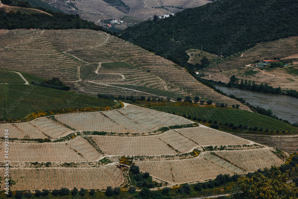 Naklejka premium View from Pinhao village in Portugal to Douro valley and river
