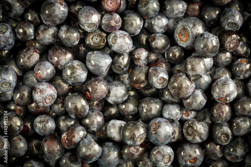 Organic blueberry background.