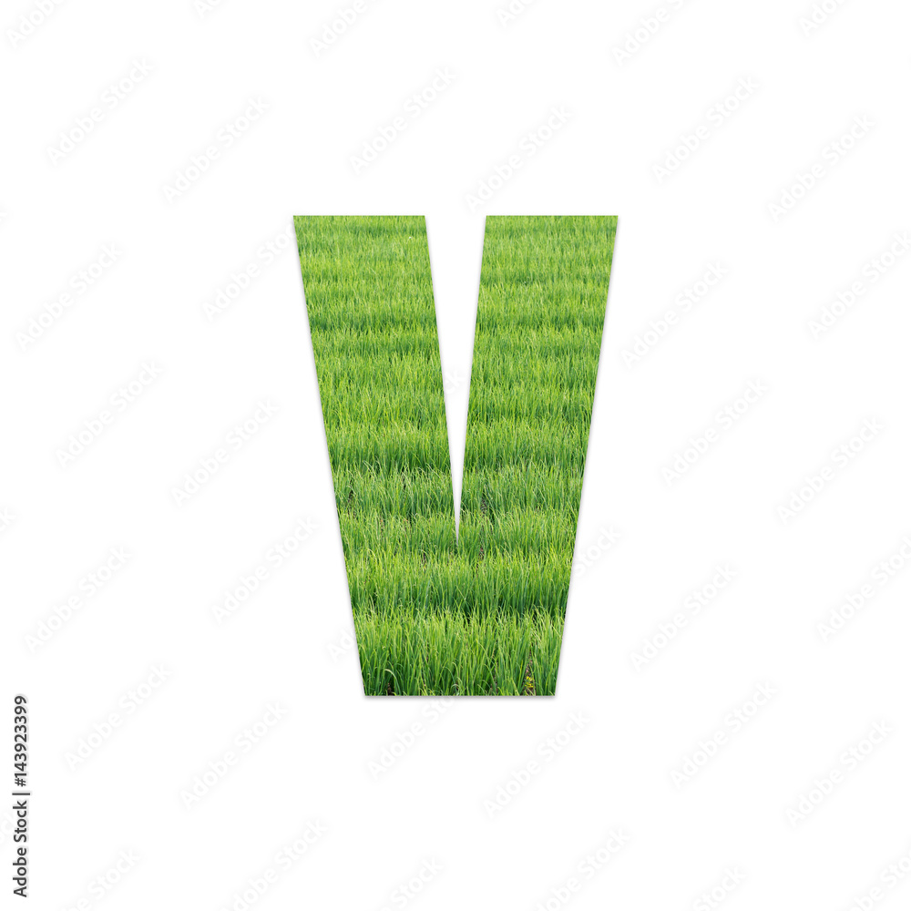 Alphabet text from green grass field texture on white background Alphabet text from green grass field texture on white background