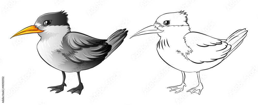 Fototapeta premium Animal outline for wild bird