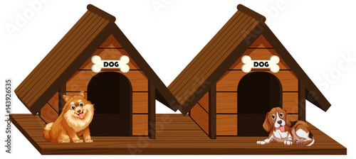 Two wooden doghouses with dogs