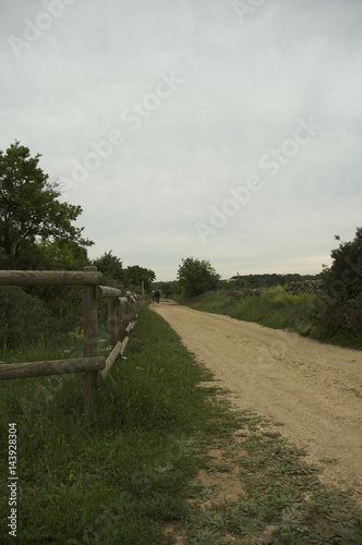 Scorcio di strada delle Gravine di Puglia a Laterza