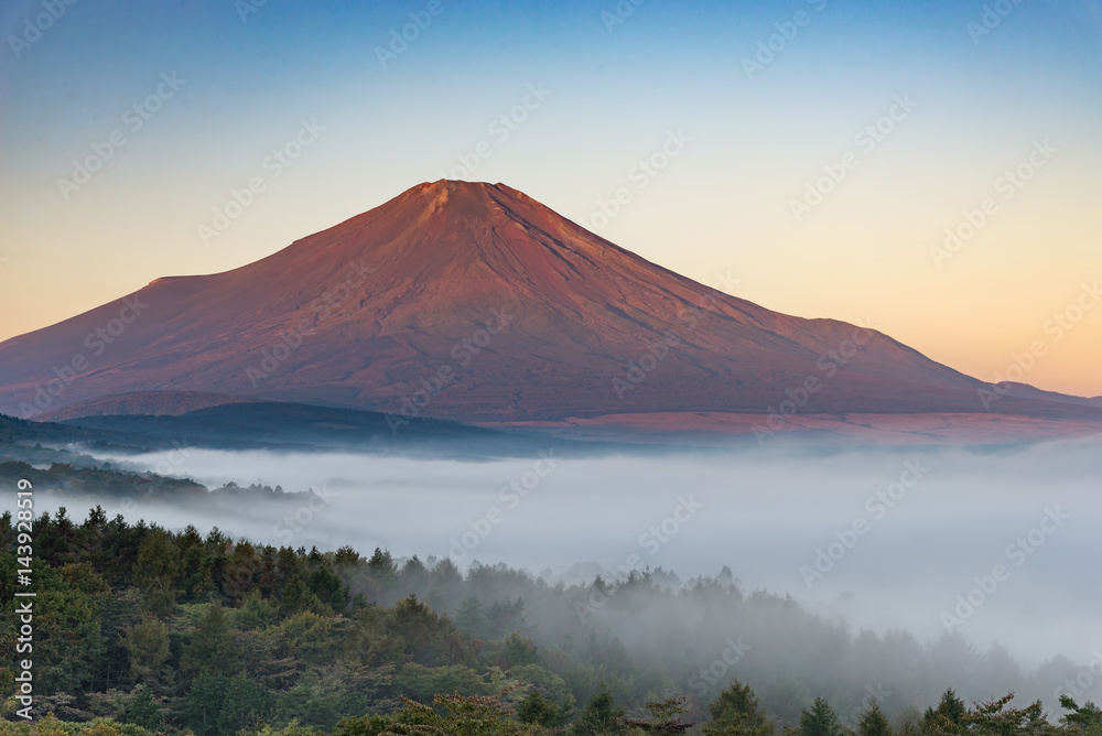 Mountain Fuji without snow cover the peak and sea of mist below in early autumn