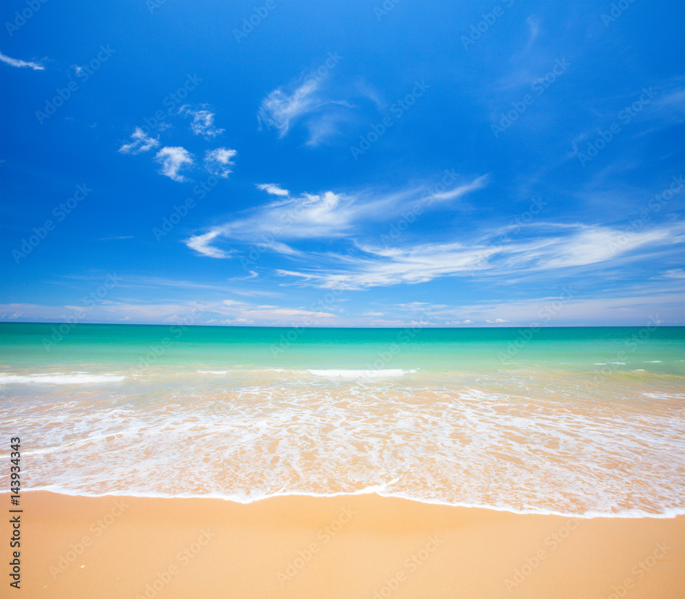 Fototapeta premium beach and tropical sea