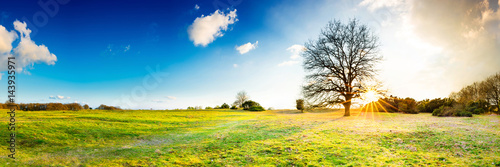 Weite Landschaft mit grüner Wiese bei Sonnenuntergang