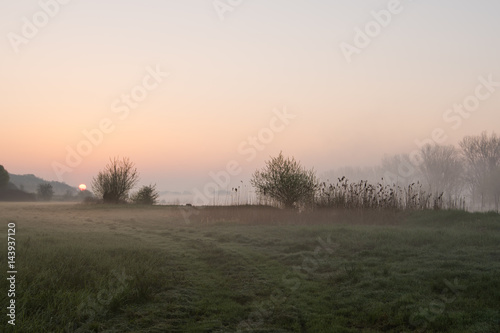 Mgła nad brzegiem Warty