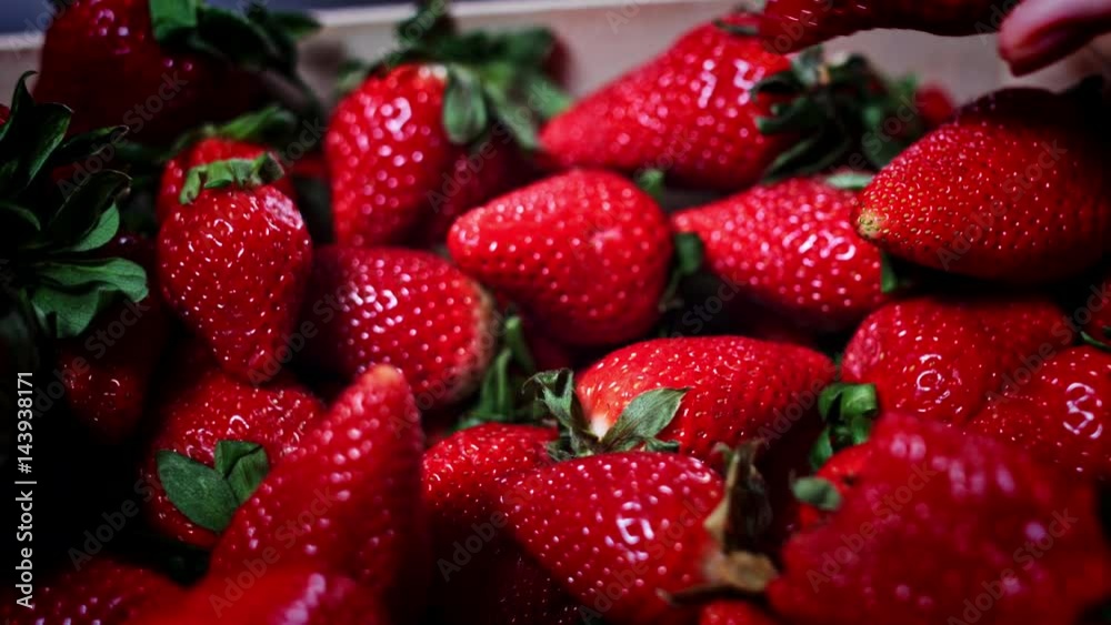 4K Cake Baker Selecting Good Strawberries 4K Cake Baker Selecting Good Strawberries