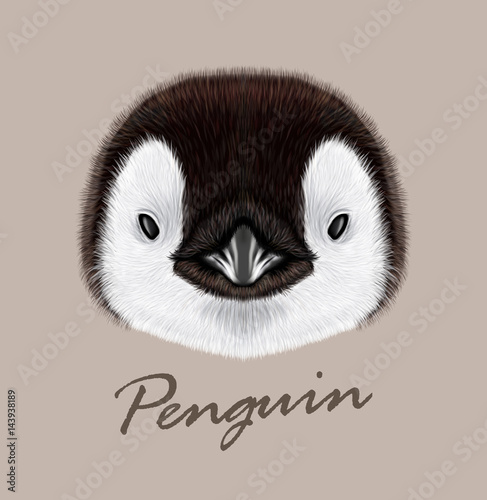 Vector Illustrated portrait of Emperor penguin chick