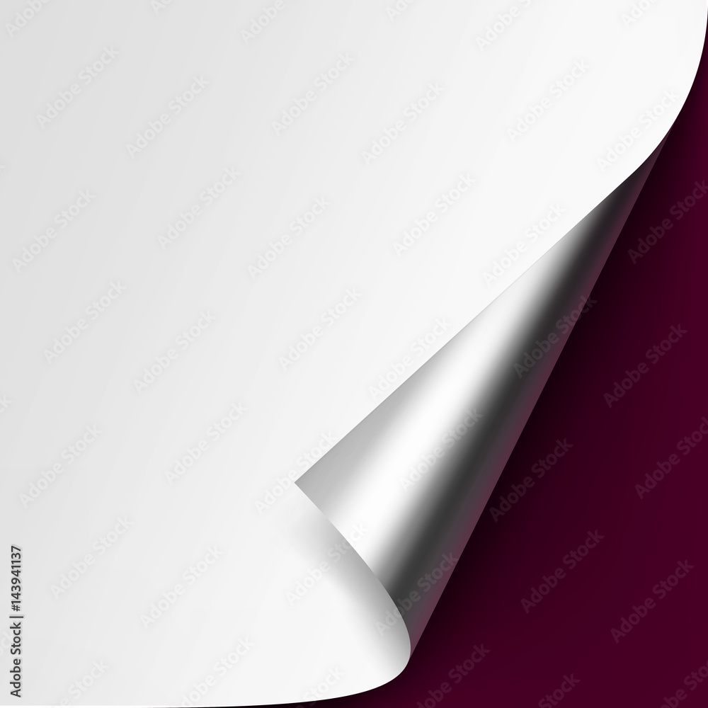 Vector Curled Metalic Silver corner of White paper with shadow Mock up Close up Isolated on Vinous Background Vector Curled Metalic Silver corner of White paper with shadow Mock up Close up Isolated on Vinous Background