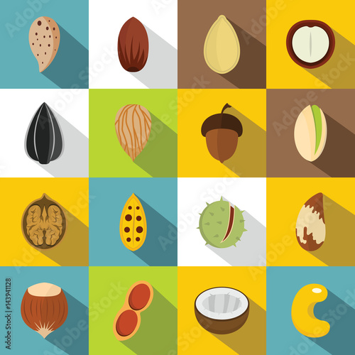 Nuts icons set, flat style