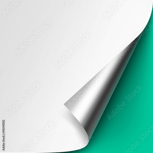 Vector Curled Metalic Silver corner of White paper with shadow Mock up Close up Isolated on Light Green Mint Background