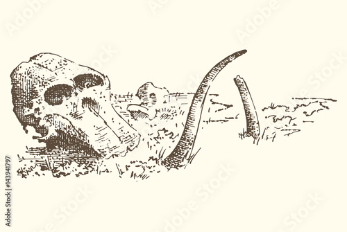 Stone age vector Caveman or troglodyte illustration, mammoth skeleton and skull. prehistoric aged hand drawn or engraved illustration, ancient period concept