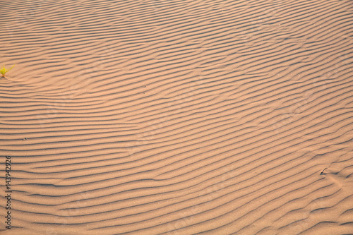 Sand dune ripples