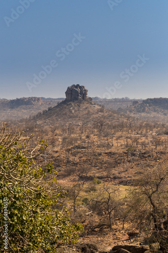 Desert Landscape of Mapungubwe National Park, South Africa, Africa photo