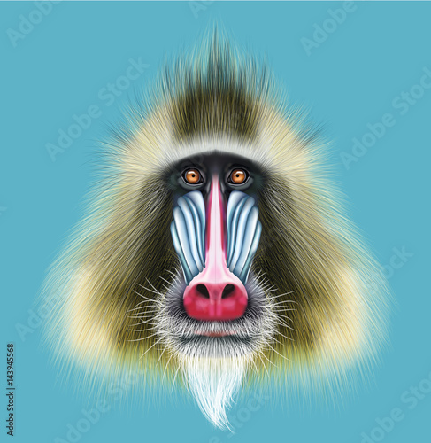 Foto Illustrated portrait of Mandrill monkey