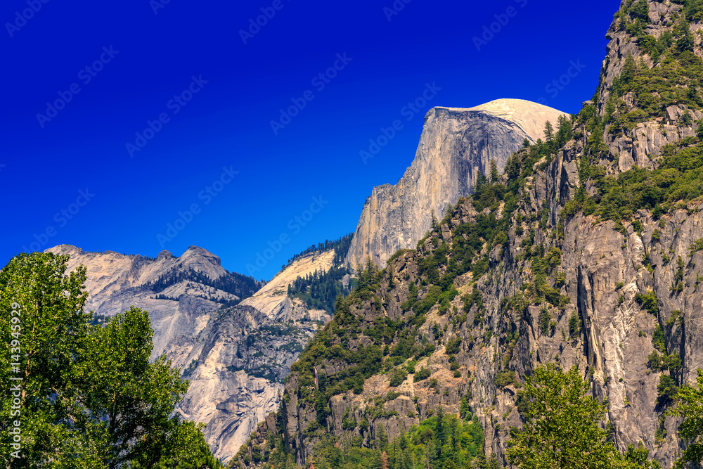 Yosemite's Half Dome in the background Yosemite's Half Dome in the background