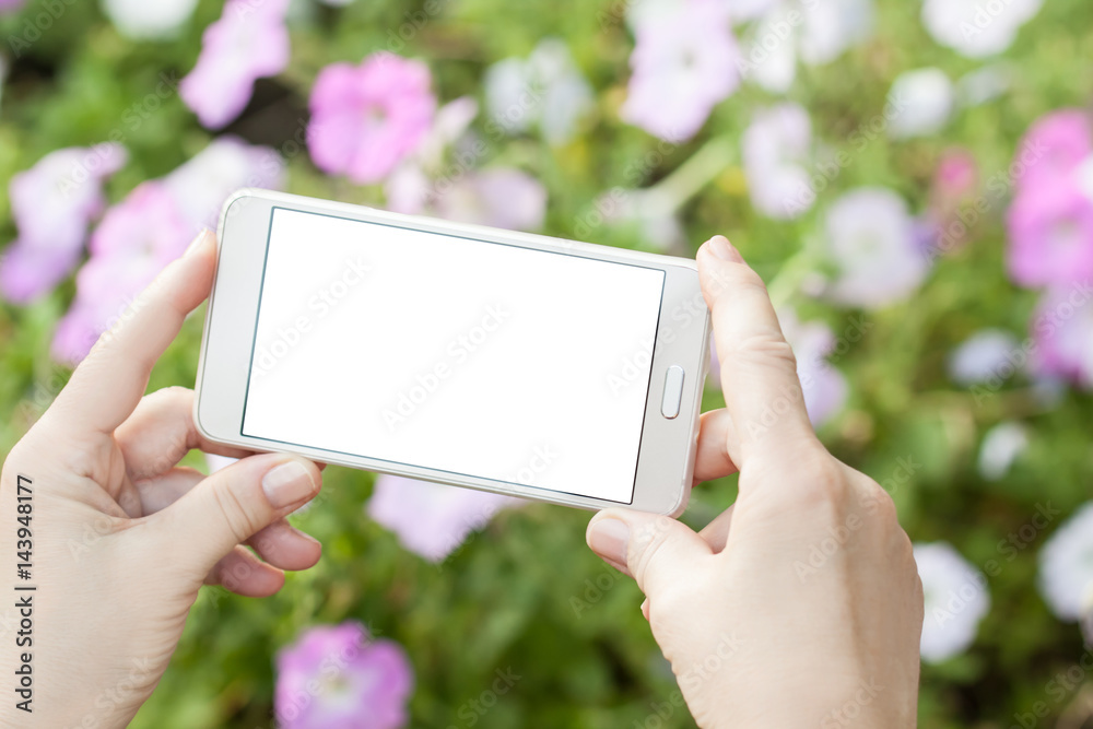 Woman's hands holding modern smartphone, taking pictures Woman's hands holding modern smartphone, taking pictures