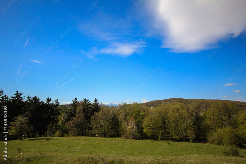 Hills in the spring