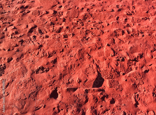 Planet Mars Surface