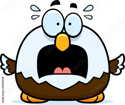 Scared Little Bald Eagle