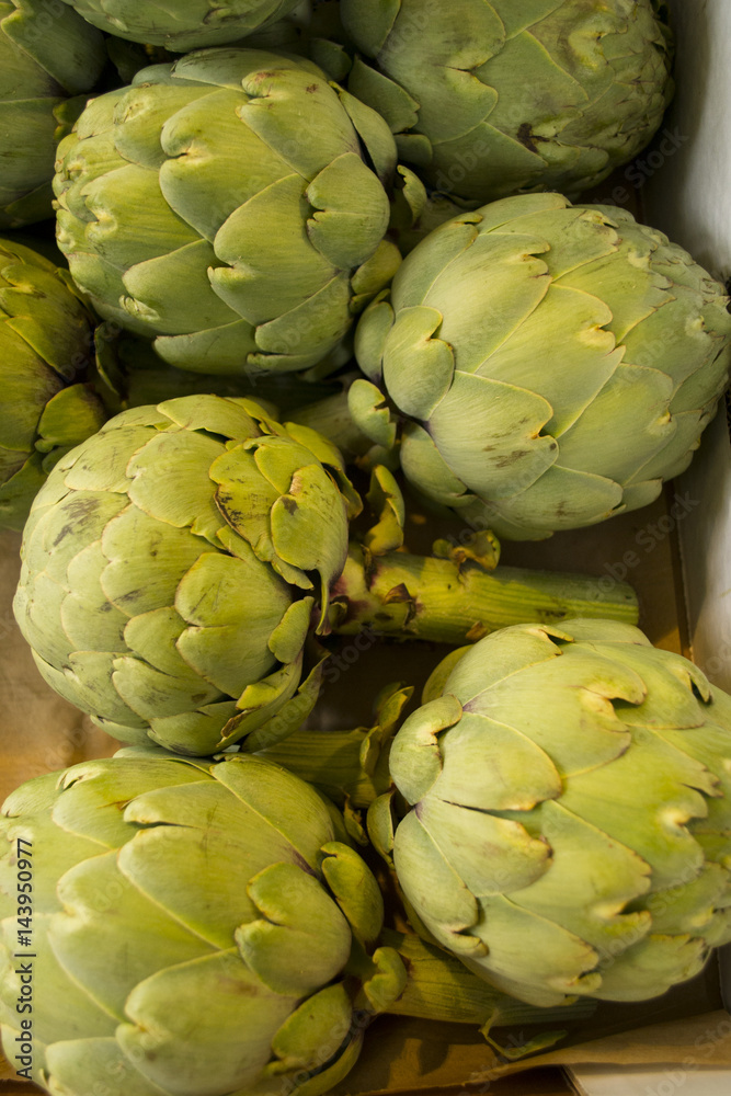 Fototapeta premium Artischocken