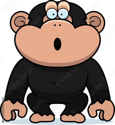 Chimp Surprised
