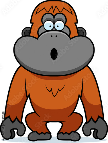 Orangutan Surprised