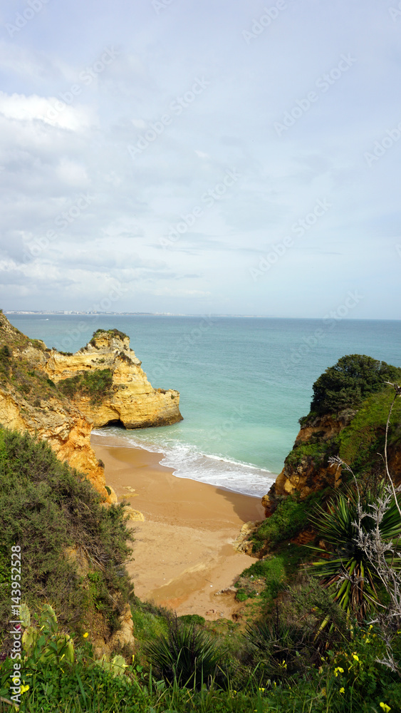 Fototapeta premium dona ana beach