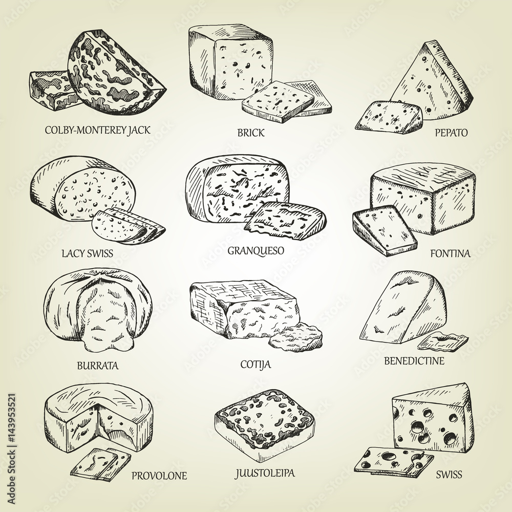 Graphic sketch of different cheeses icons. Vector set of realistic outline dairy products. Isolated curds collection used for logo design, recipe book, advertising cheese or restaurant menu. Graphic sketch of different cheeses icons. Vector set of realistic outline dairy products. Isolated curds collection used for logo design, recipe book, advertising cheese or restaurant menu.