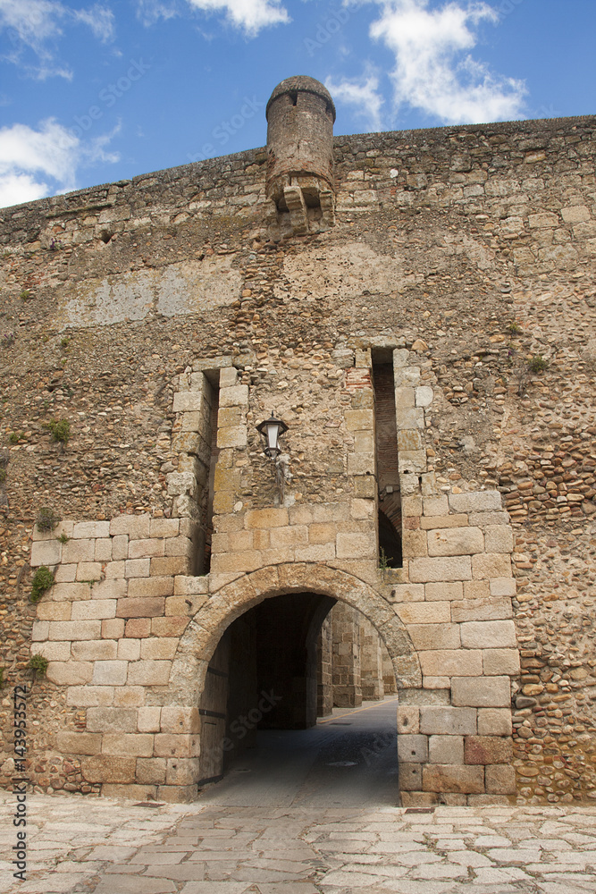 one of the gates of the medieval city of ciudad rodrigo, in spain