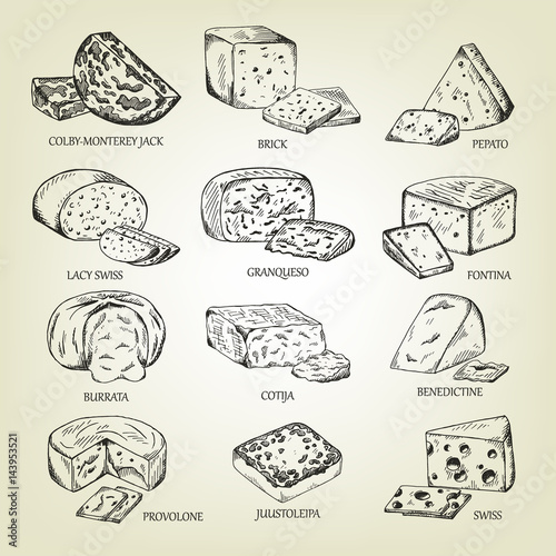 Graphic sketch of different cheeses icons. Vector set of realistic outline dairy products. Isolated curds collection used for logo design, recipe book, advertising cheese or restaurant menu. photo