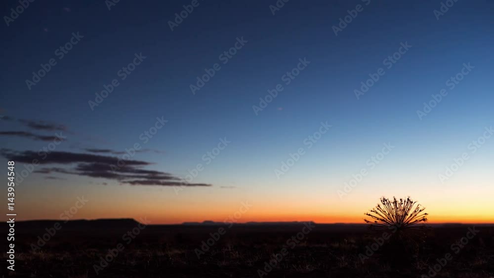 A static dramatic sunset of a Karoo Landscape with a characteristic yet abstract dried out Bushman Poison Plant/Gifbol bulb A static dramatic sunset of a Karoo Landscape with a characteristic yet abstract dried out Bushman Poison Plant/Gifbol bulb