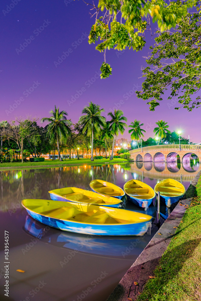 Obraz premium Boats on the lake in a park at night