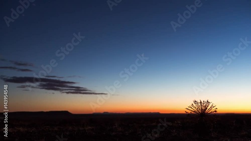 A static dramatic sunset of a Karoo Landscape with a characteristic yet abstract dried out Bushman Poison Plant/Gifbol bulb photo