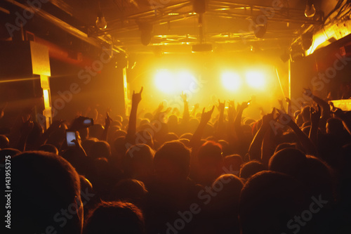 crowd at a rock concert spotlight background blur