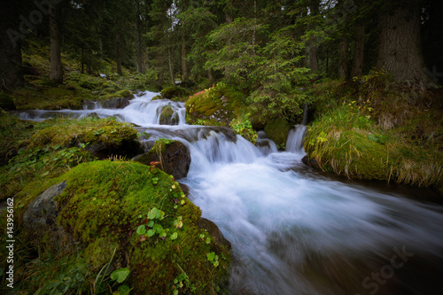 Europe,Italy,Trentino,Dolomites,Fassa Valley..Stream of water
