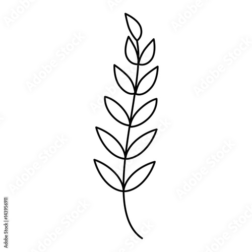 decorative leafs isolated icon