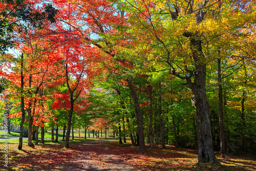 Brilliant fall foliage in rural Nova Scotia  Canada.
