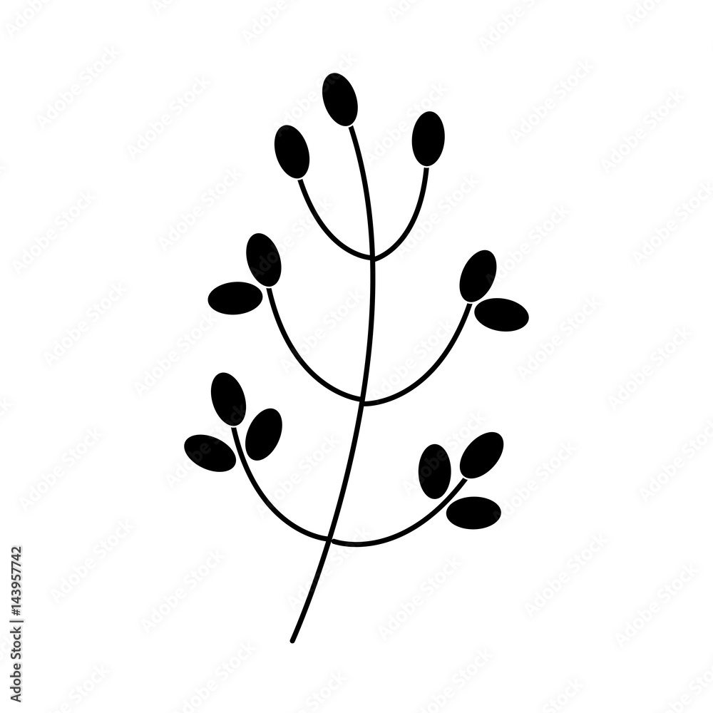 decorative leafs isolated icon decorative leafs isolated icon