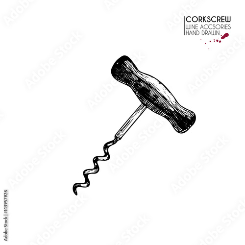 Vector hand drawn set of wine equipment. Isolated corkscrew. Engraved art. Delicious vegetarian objects.