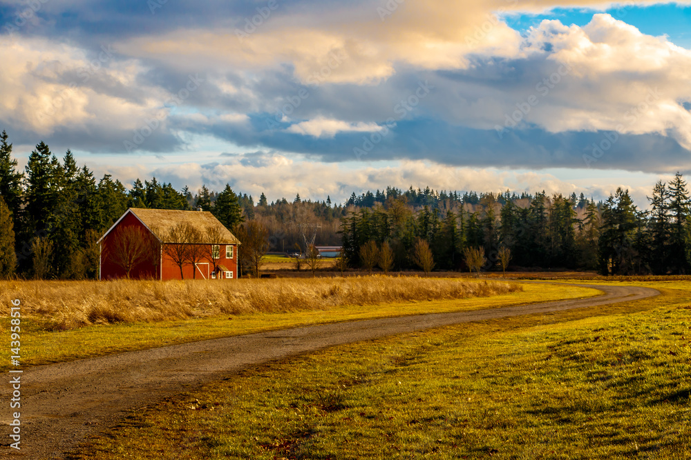 Dirt road