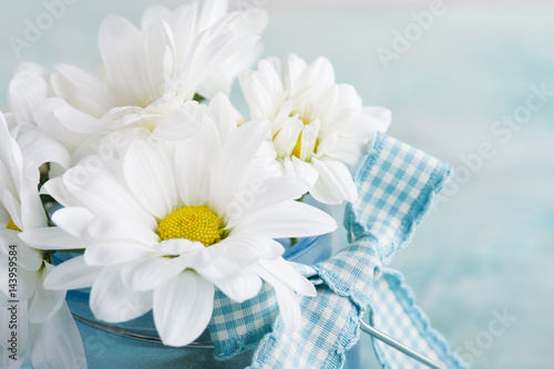 Fresh daisy flowers close-up on pastel blue table